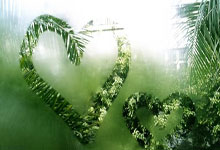  足总杯最新形势：曼城高居榜首，费城76人强势追赶，冠军归属成迷